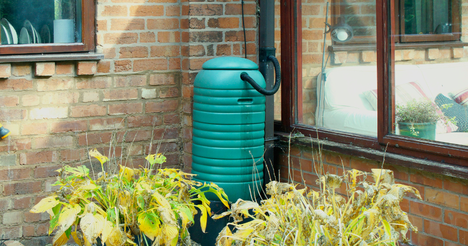 How to save water in the garden