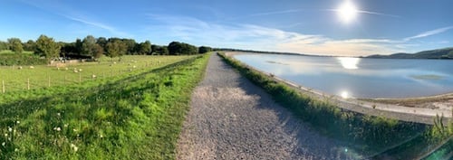 Help us keep Cheddar Reservoir open for walks