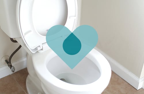 Website_Tip_Image_Toilet